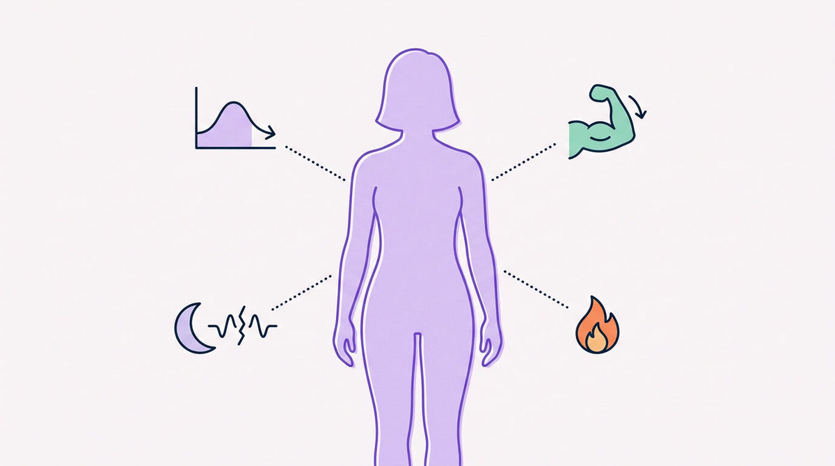 Why Perimenopause Causes Weight Gain in Your 40s | Karespot